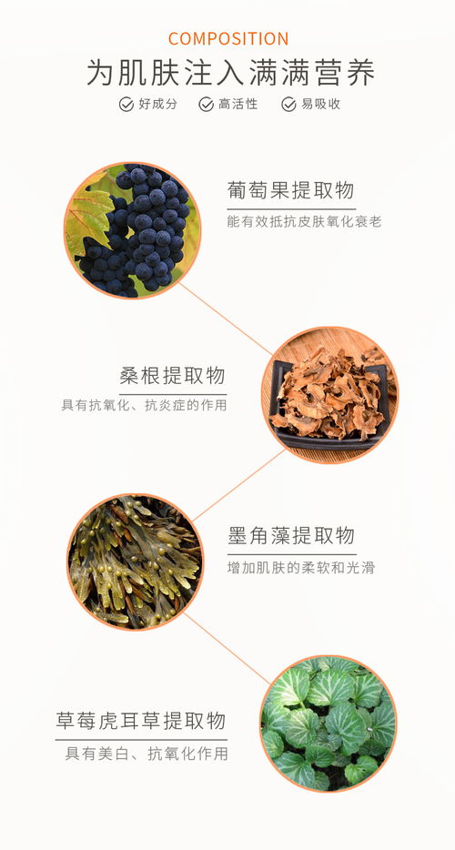 三門峽泡罩OEM工廠品牌企業與廣州蘿薇一站式市場營銷策劃 強強聯合，共創未來